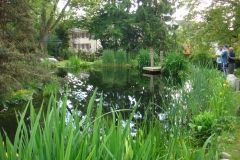 Weiher im ZB1