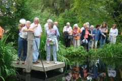 Weiher im ZB3