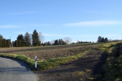 DSC00227-2000