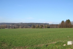 DSC00234-2000