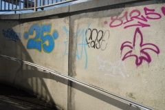 DSC07395